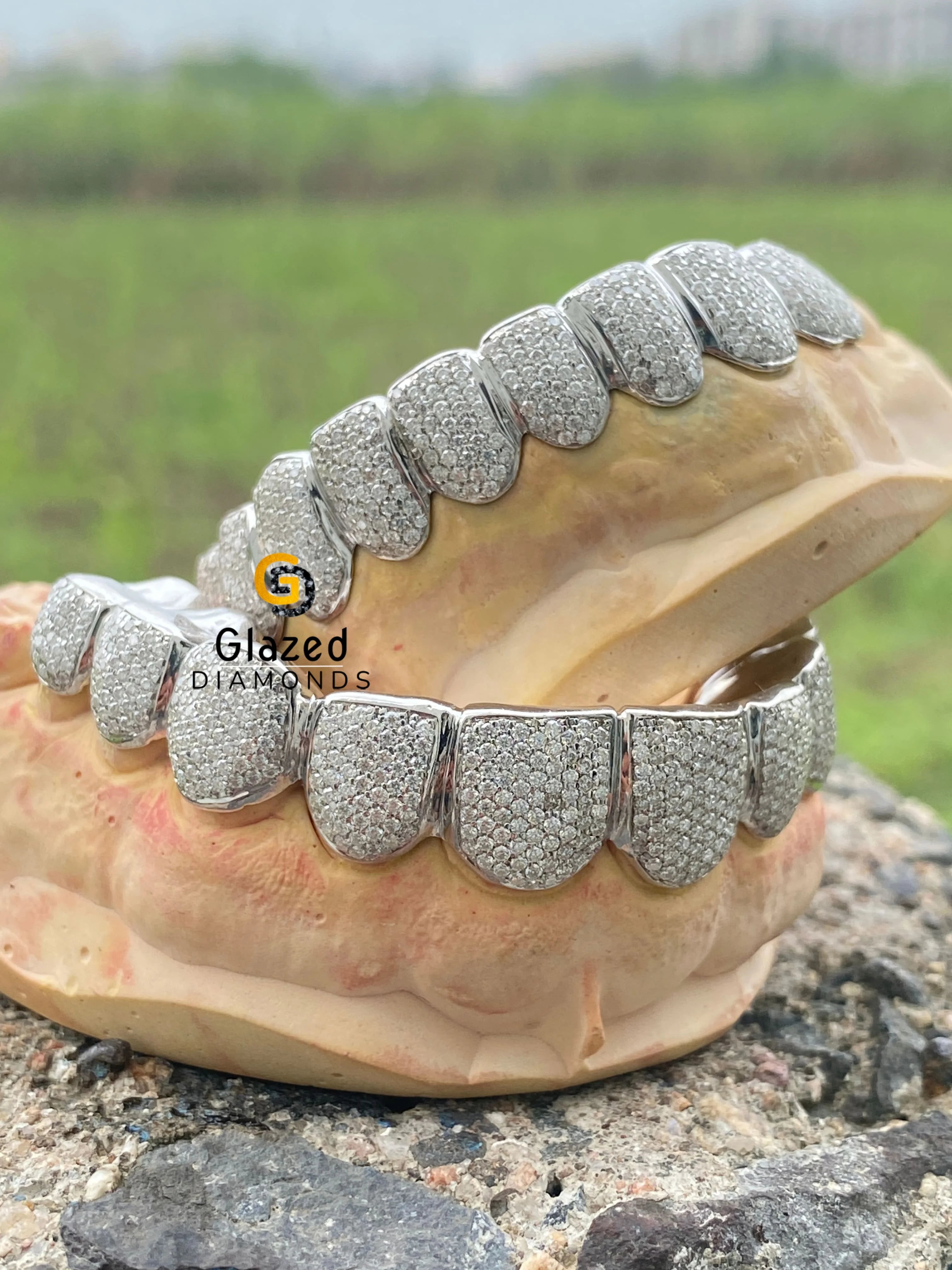 10 On 10 Custom Iced VVS Moissanite Diamond Grillz