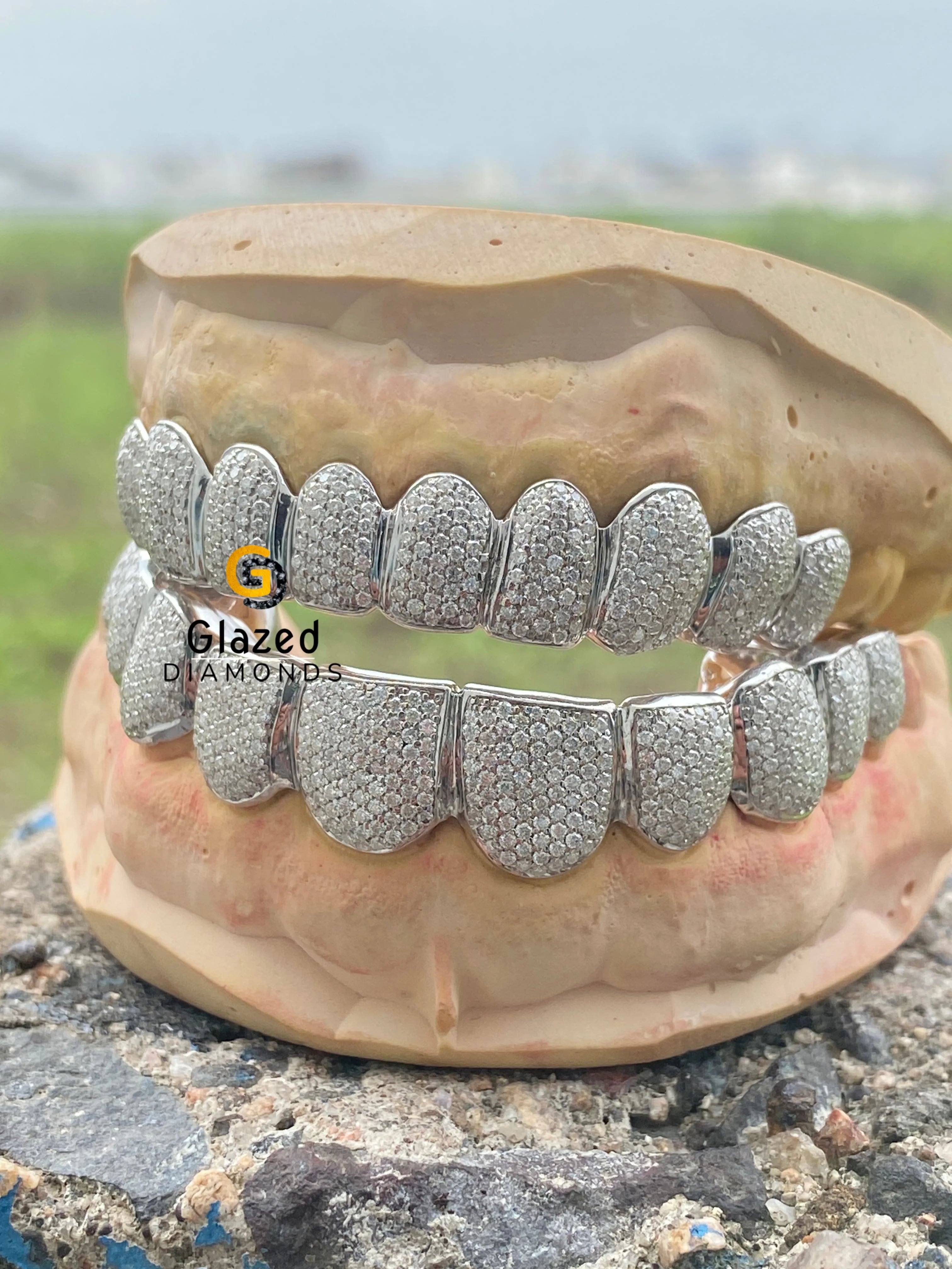 10 On 10 Custom Iced VVS Moissanite Diamond Grillz