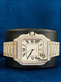 Roman Dial VVs Moissanite Fully Iced Out D Colorless Watch